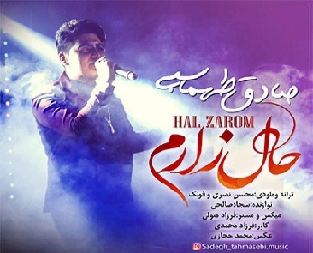 دانلود آهنگ حال زارم صادق طهماسبی